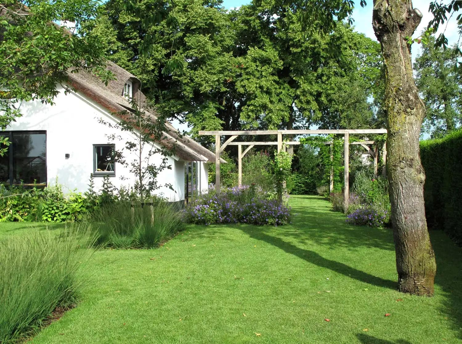 Eten uit je tuin: Gazon met boom en pergola | Het Buitenland Tuin en Landschap (tuinontwerp Nijmegen, tuinarchitect Nijmegen) Boom op voorgrond in langgerekt gazon met halverwege een pergola