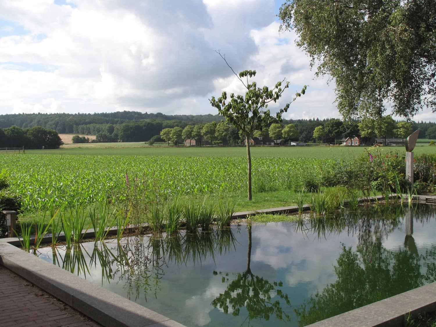Ommeland: Grote zwemvijver in landschap | Het Buitenland Tuin en Landschap (landschapstuin, tuinontwerp Nijmegen, tuinarchitect Nijmegen) Grote zwemvijver op voorgrond van heuvelachtig landschap