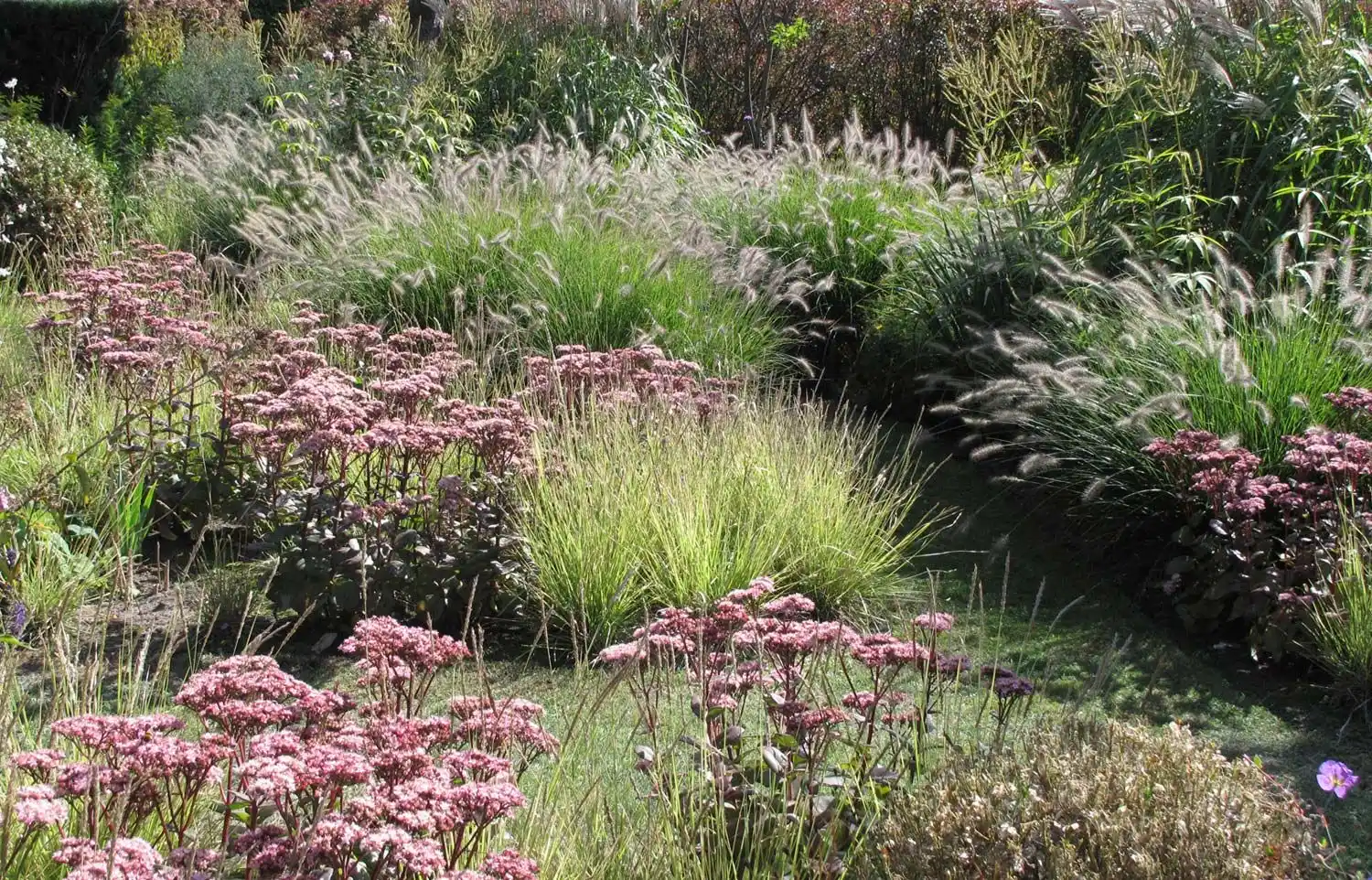 Beplantingsontwerp – beplantingsplan voor stadstuin Nijmegen of landschapstuin | Het Buitenland Tuin en Landschap (tuinontwerp Nijmegen, tuinarchitect Nijmegen) Beplantingsontwerp